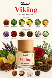 VIKING
